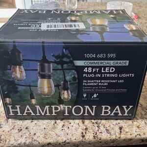 Hampton Bay Black LED String Lights